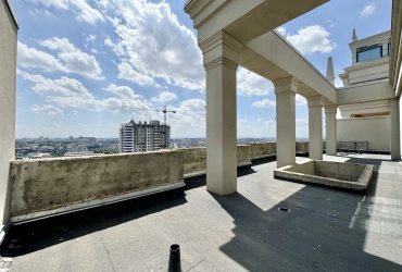 Единственное предложение 